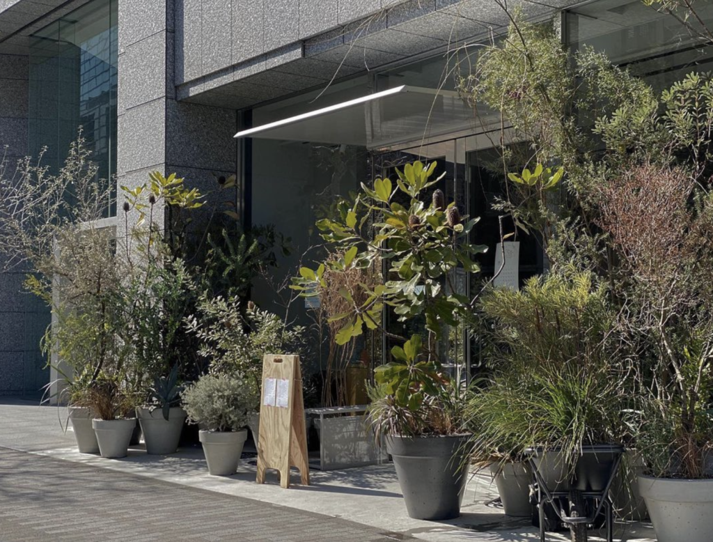 東京近郊】プロ目線でおすすめグリーンショップ｜おしゃれ観葉植物 
