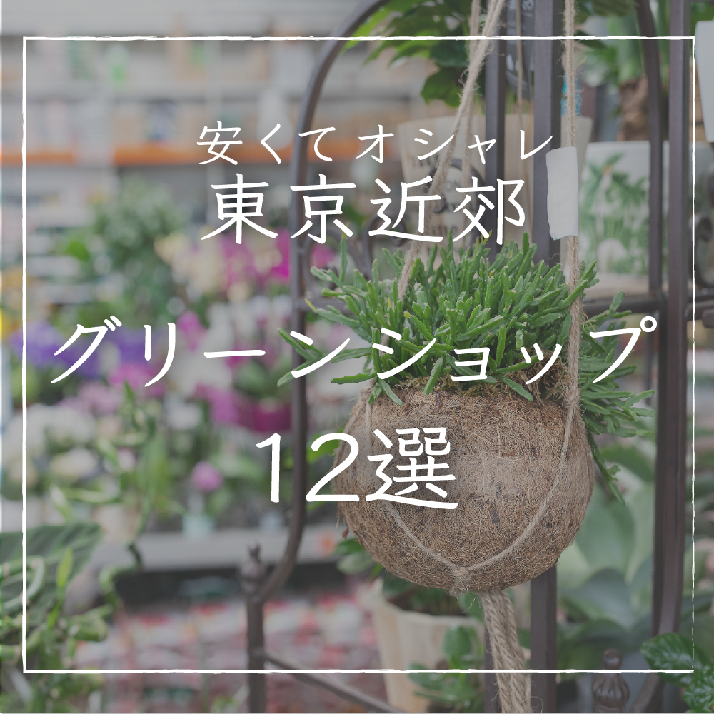 東京近郊】プロ目線でおすすめグリーンショップ｜おしゃれ観葉植物